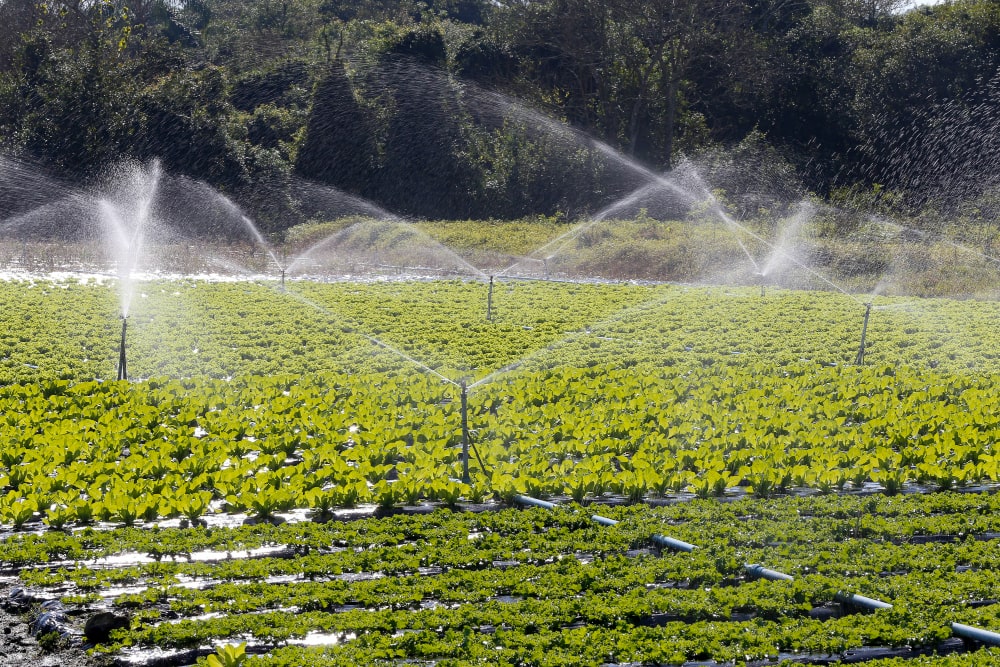 Irrigation & Agribusiness